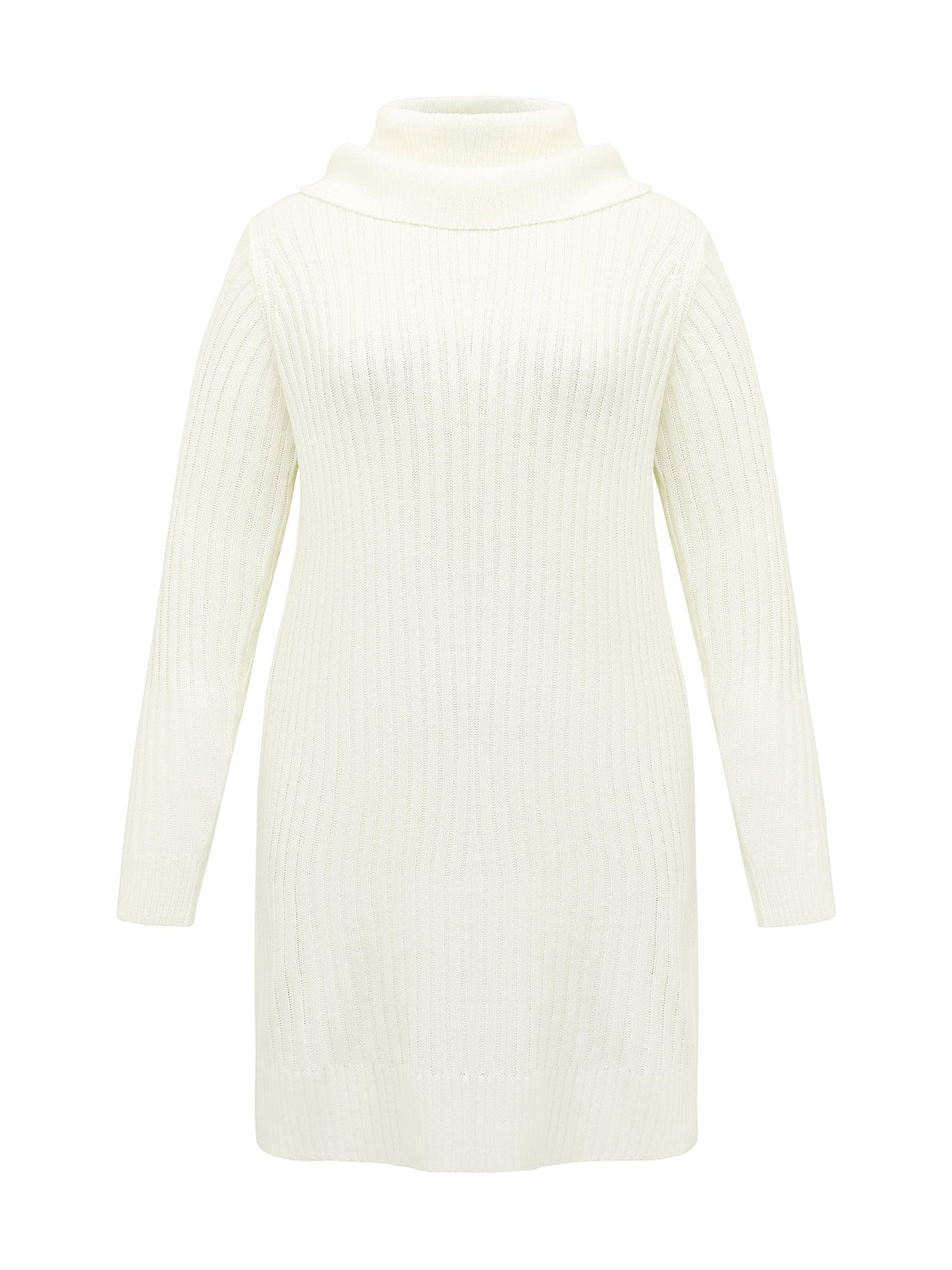 High Turtleneck Textured Sweater Dress