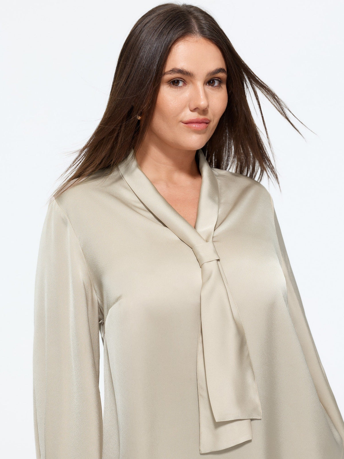 Satin Tie Neck Long Sleeve Blouse