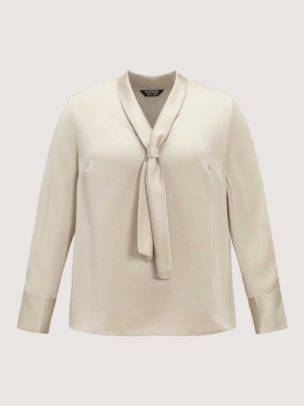 Satin Tie Neck Long Sleeve Blouse