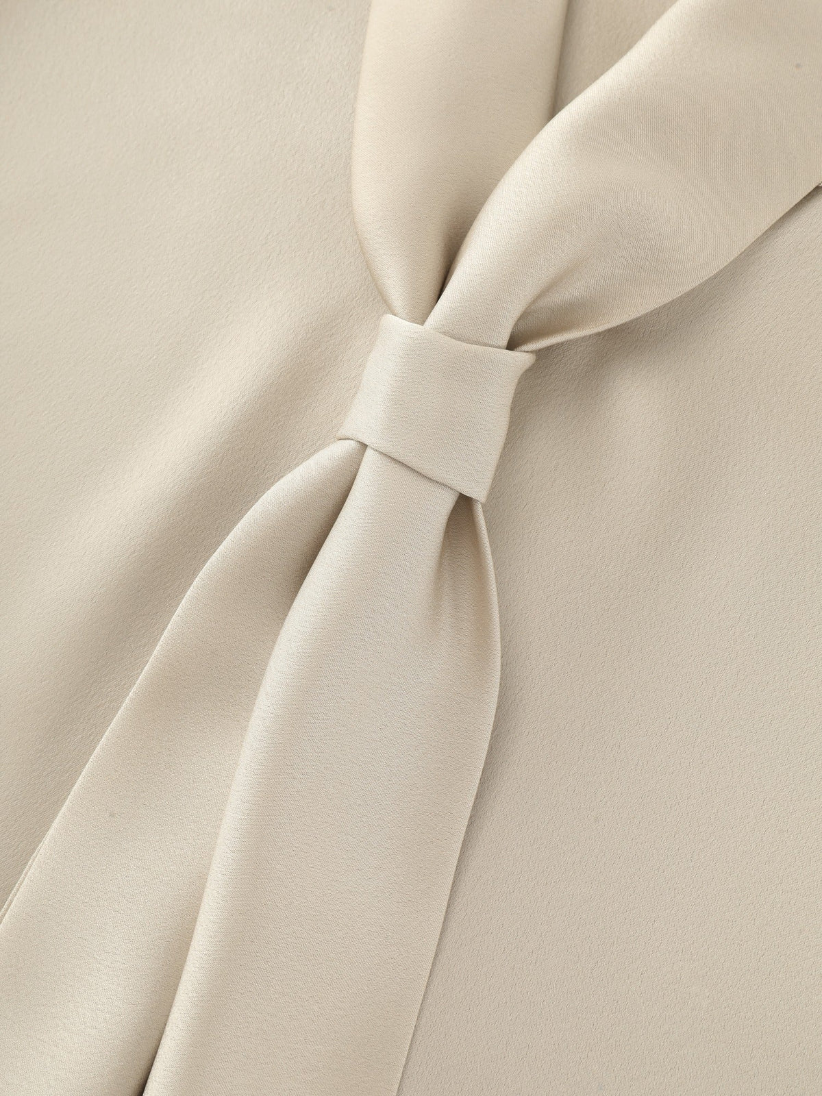 Satin Tie Neck Long Sleeve Blouse