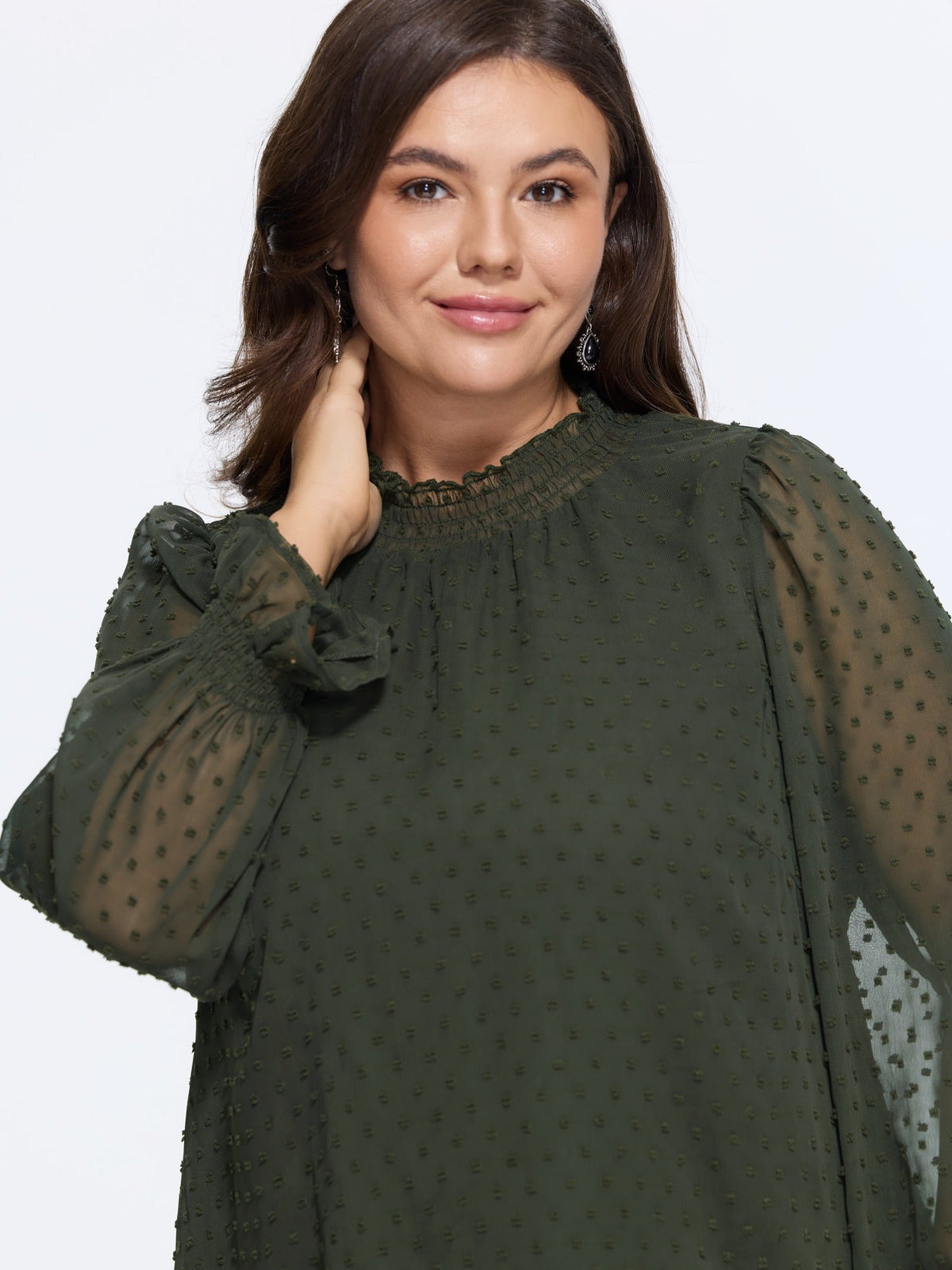 Textured Sheer Ruffle Shirred Neck Blouse