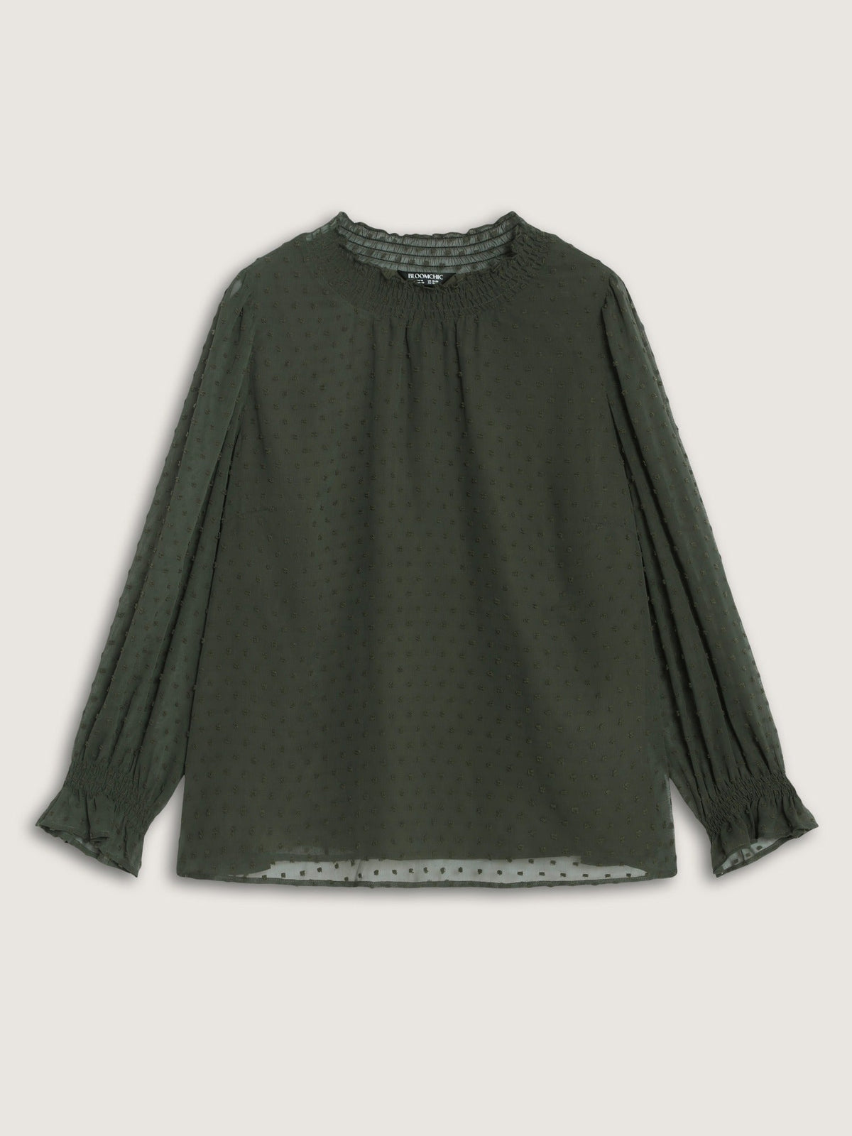 Textured Sheer Ruffle Shirred Neck Blouse