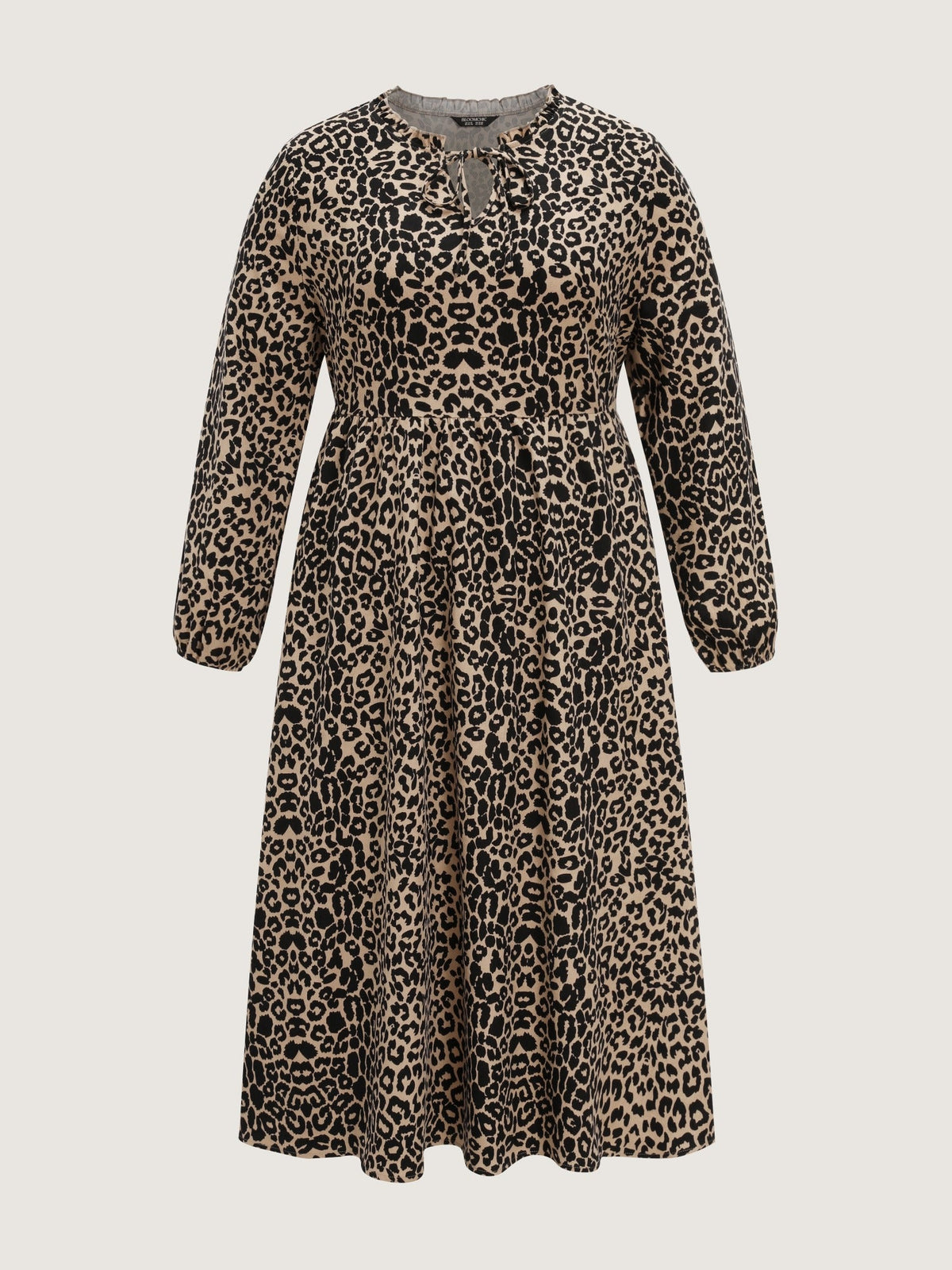 Leopard Print V Neck Maxi Dress