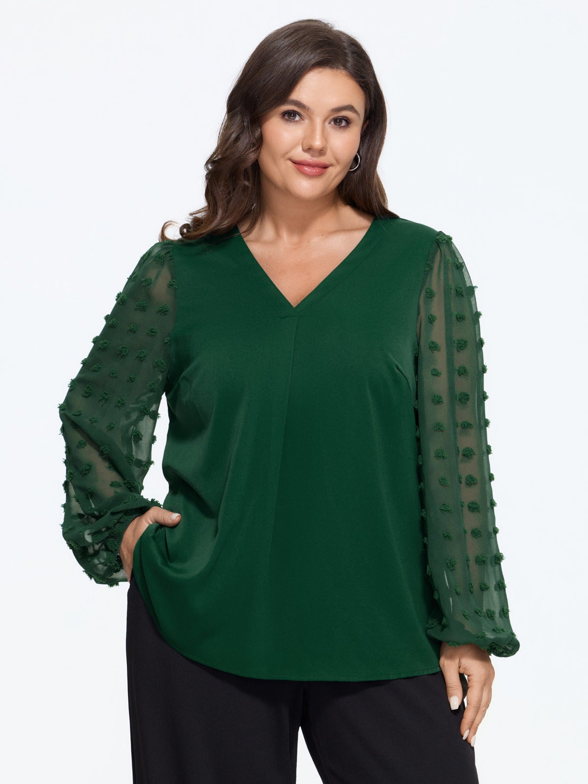Textured Sheer Mesh Sleeve V Neck Blouse