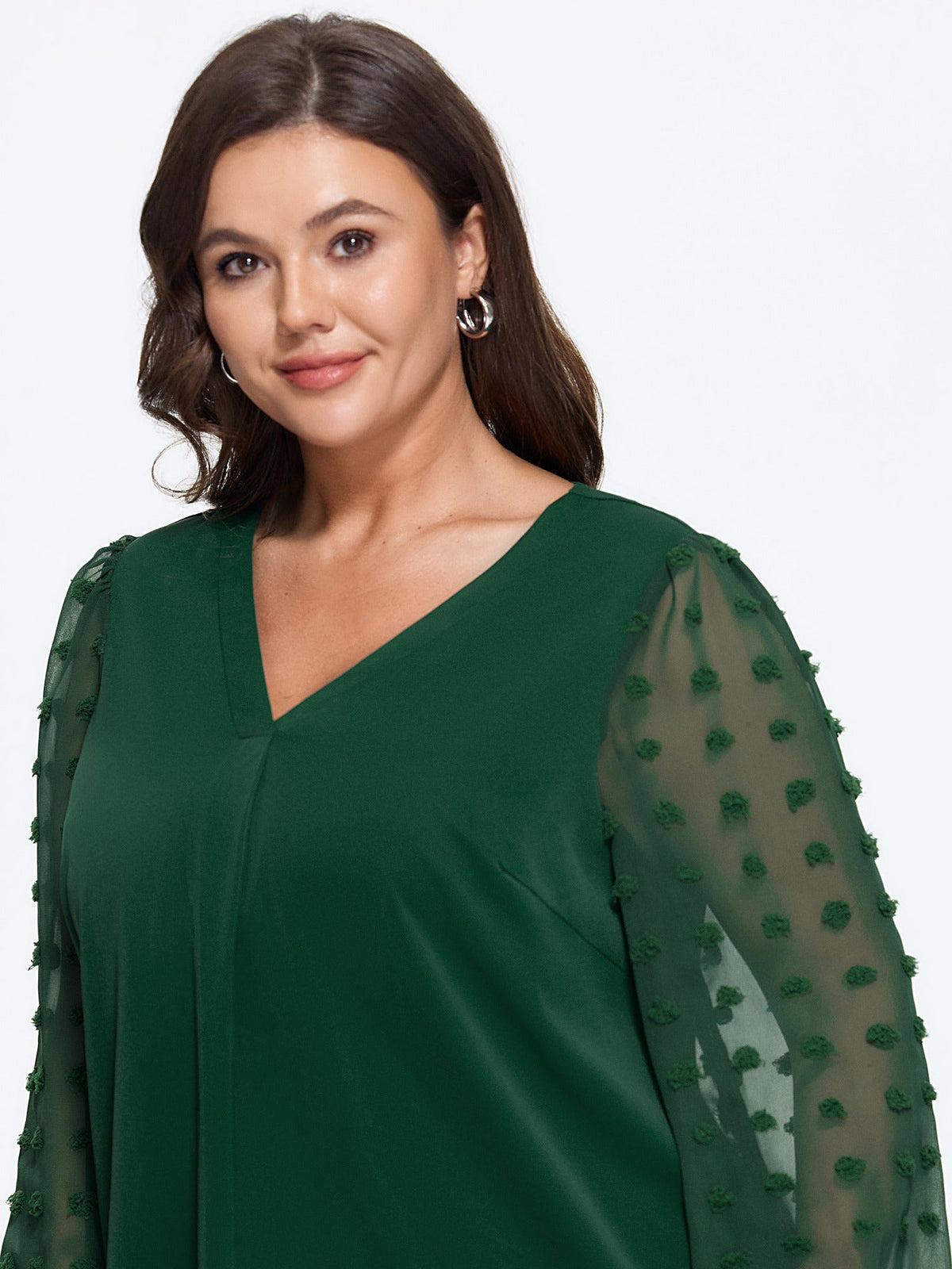 Textured Sheer Mesh Sleeve V Neck Blouse