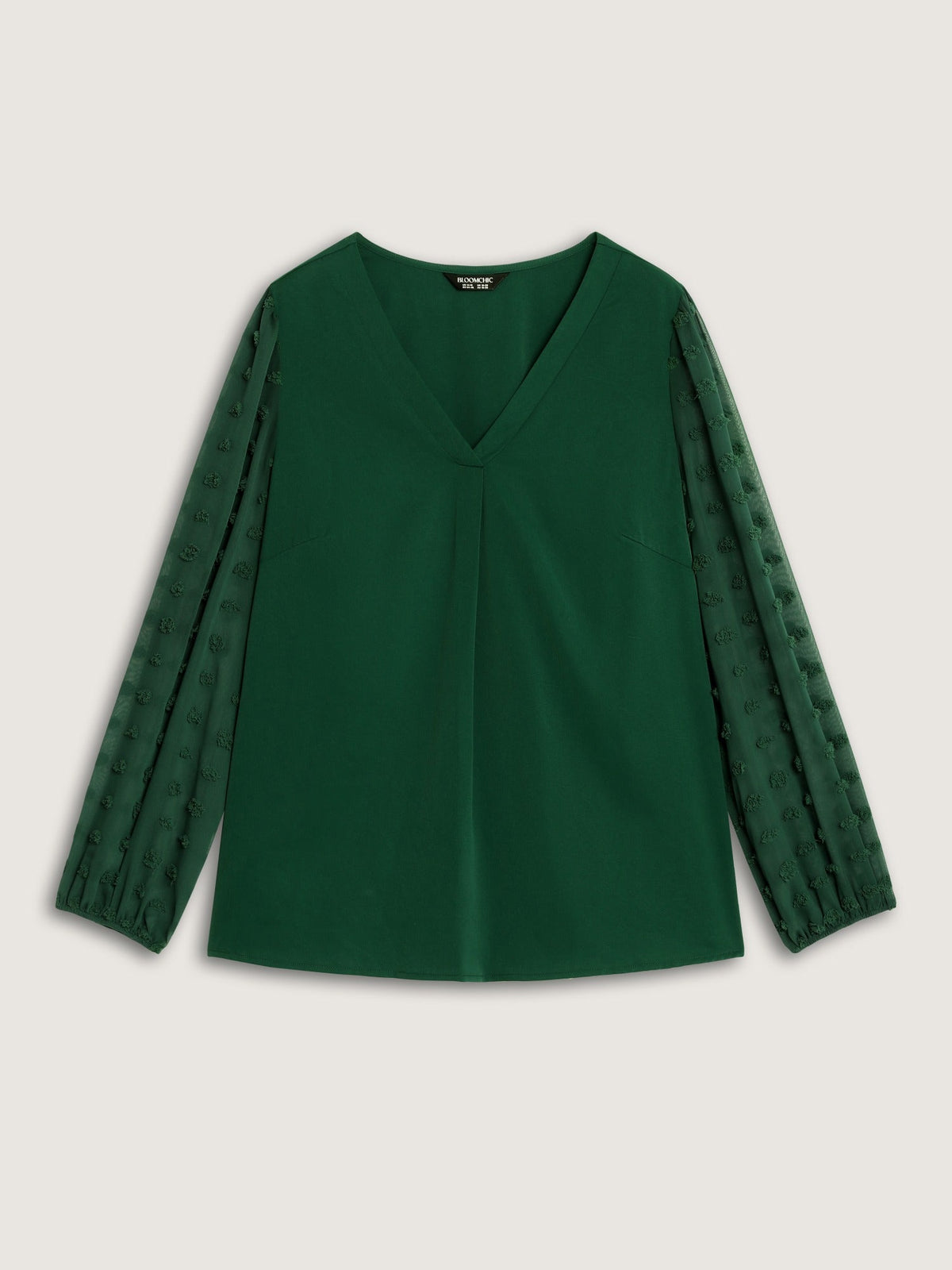 Textured Sheer Mesh Sleeve V Neck Blouse