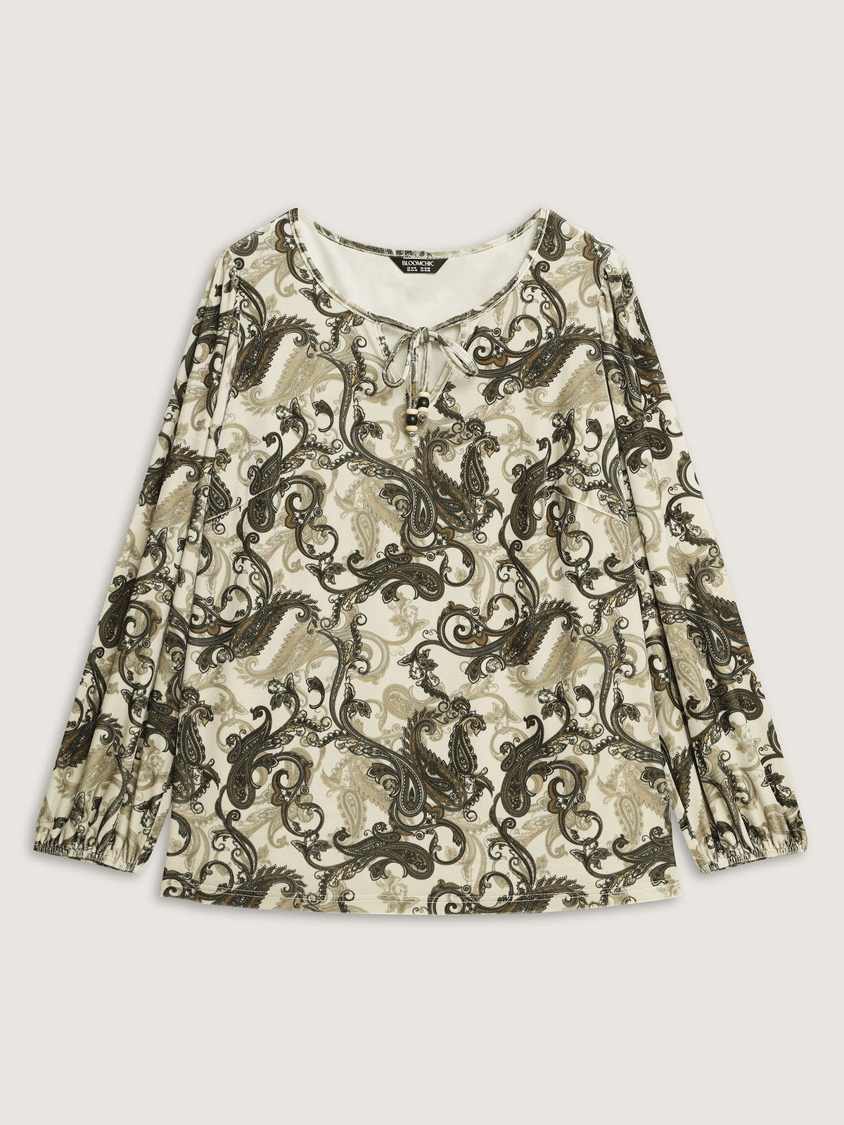 Paisley Velvety Print Lantern Sleeve Blouse
