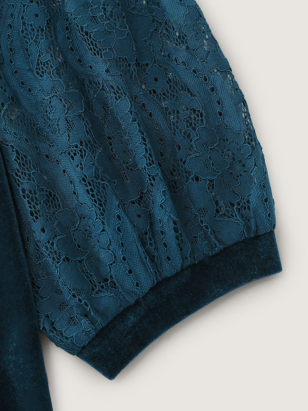 Velvet Sheer Lace Raglan Sleeve Blouse